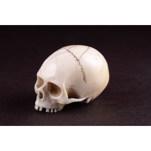 Japanese Carved Ivory Memento Mori Netsuke in the Form of a Skull